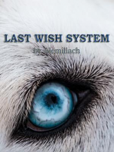 Last Wish System